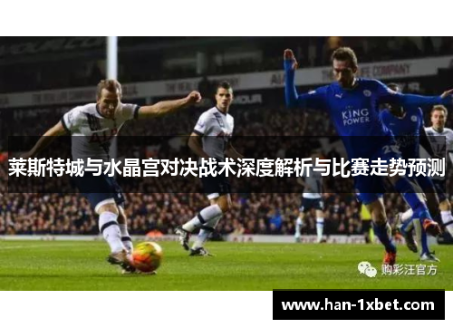 莱斯特城与水晶宫对决战术深度解析与比赛走势预测
